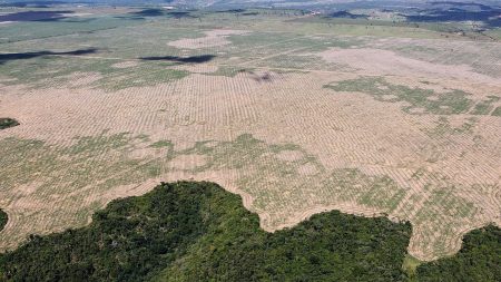 Huellas de la deforestación en la Amazonía