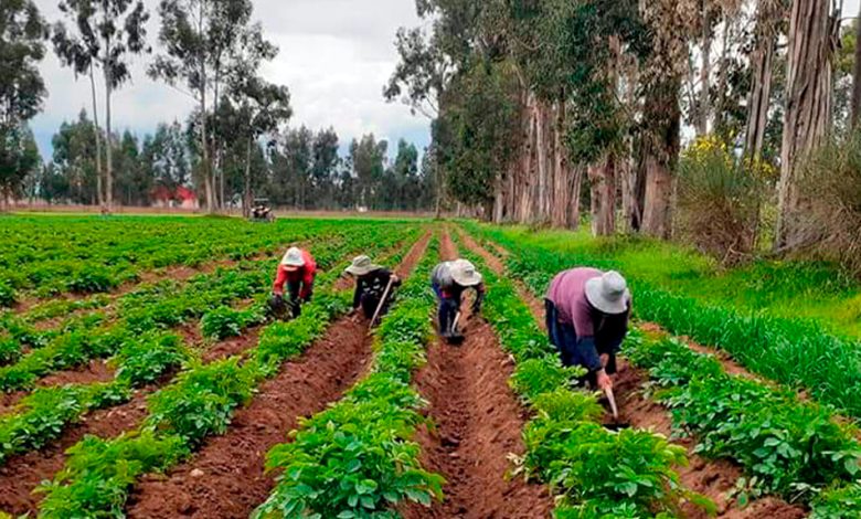 Agro Perú