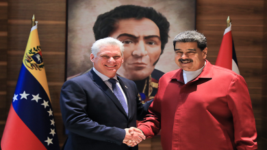 Venezuela y Cuba profundizan líneas estratégicas y cooperación