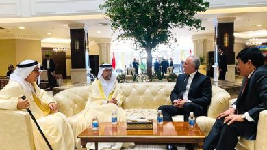 Siria y Emiratos Árabes Unidos fortalecen la cooperación en transporte