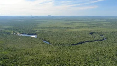 Venezuela presente en Leticia para preparar la Cumbre Amazónica