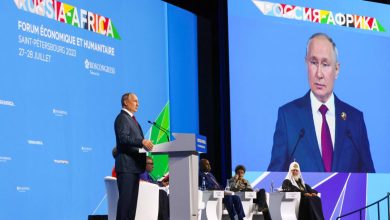 Vladímir Putin anuncia que Rusia enviará granos gratis a seis países de África