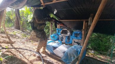 Fanb desmantela ocho campamentos Tancol y dos laboratorios de drogas en Zulia