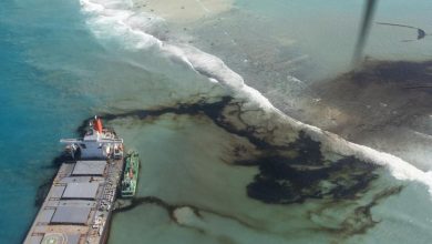 La isla Mauricio al borde de una gran desastre ecológico