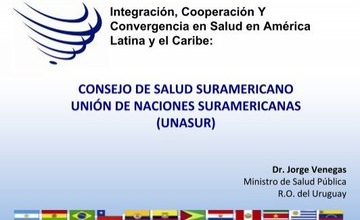 Unasur estaba constituída por diferentes consejos regionales