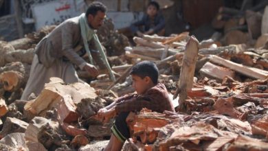 Millones de yemeníes en situación de inseguridad alimentaria