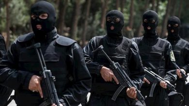 Fuerzas iraníes desmantelaron red terrorista