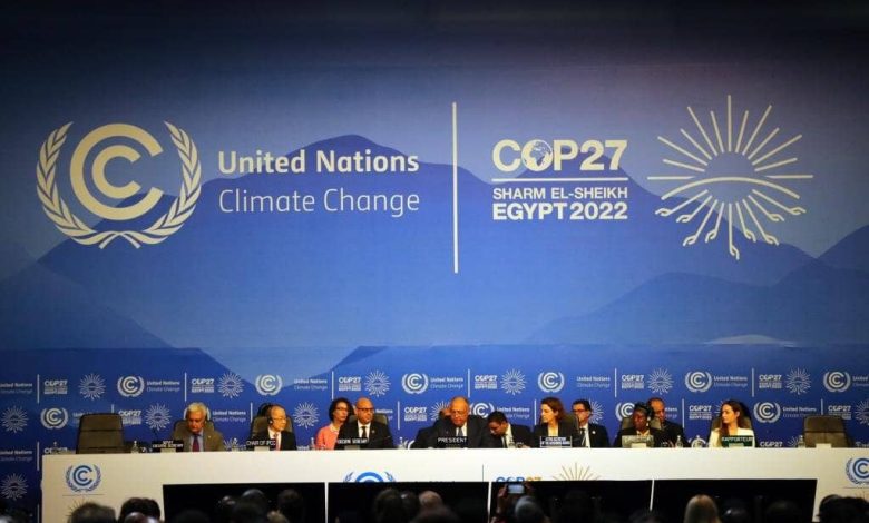 Movimientos negros e indígenas de Brasil denunciarán el racismo y las inequidades en la demarcación de tierras en la COP27