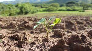 Instalado IV Congreso Venezolano de Agroecología