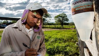 Venezuela promueve la ganadería regenerativa para la producción de pastos y forrajes
