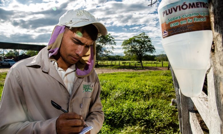 Venezuela promueve la ganadería regenerativa para la producción de pastos y forrajes