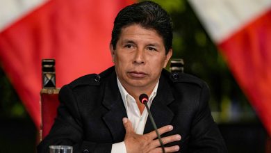 Castillo formalizó su solicitud de asilo a México