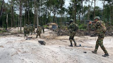 Despliegue de la FANB en áreas protegidas como el Parque Nacional Canaima