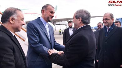 Canciller de Irán en Siria