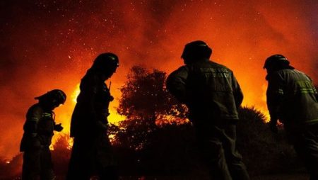 Los incendios forestales han destruido viviendas y han dejado innumerables damnificados 