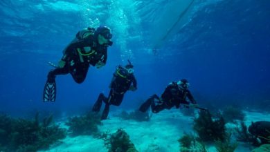 Presentan resultados de proyectos de exploración marítima
