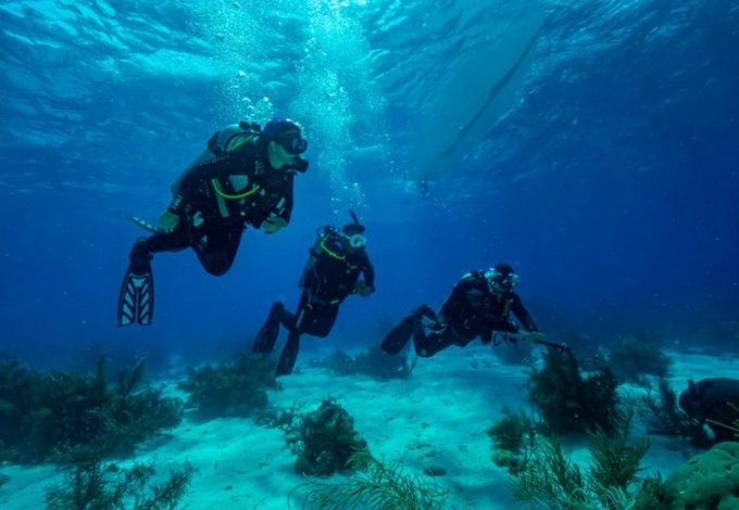 Presentan resultados de proyectos de exploración marítima
