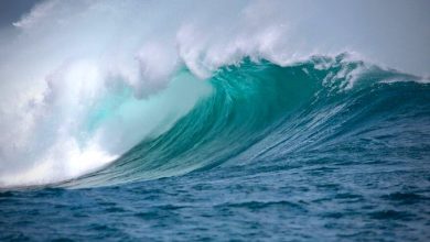 Simulacro de Tsunami Caribe Wave 2023