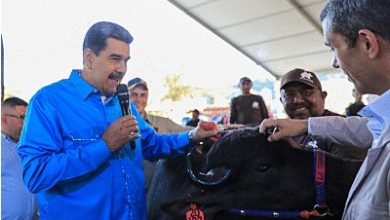 Nicolás Maduro Inaugura II Feria Nacional Criabúfalos Venezuela 2023