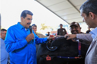 Nicolás Maduro Inaugura II Feria Nacional Criabúfalos Venezuela 2023