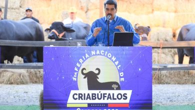 Mandatario nacional ordenó elaborar plan para iniciar exportación de carne de búfalo