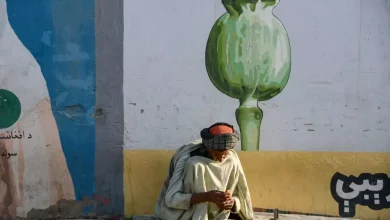 Opio afgano, pilar de su PIB