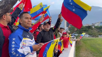 Diputado Cabello: Unión cívico militar es escudo para la defensa de la paz