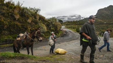 Alerta Naranja por actividad sísmica en el Nevado del Ruiz