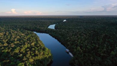 Presidente de Brasil anunció que la ciudad de Belém será la sede de la COP 30 en 2025