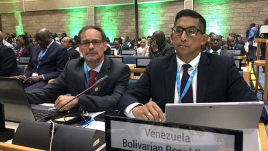 Venezuela presenta avances en vivienda en Segunda Asamblea de la ONU para el Hábitat
