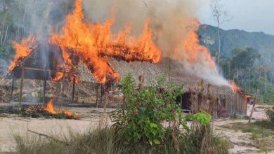 Ceofanb desmantela ciudadela de minería ilegal en el Parque Nacional Yapacana