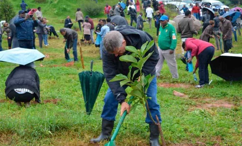 Venezuela se suma a jornada de Legado Verde en Etiopia