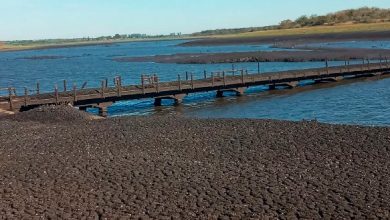 Luis Lacalle Pou rechaza ayuda de vecinos para enfrentar sequía en Uruguay
