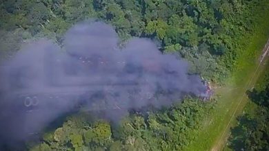 FANB inmoviliza dos aeronaves ilegales en el estado Bolívar