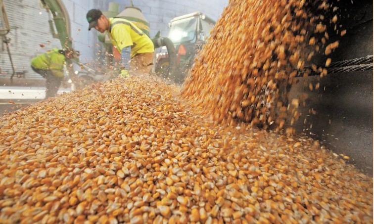 Egipto ofrece su territorio a Rusia para exportación de cereales