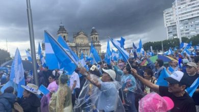 Frenan suspensión del partido Movimiento Semilla