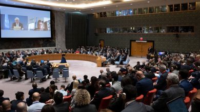 Consejo de Seguridad rechaza dos nuevas resoluciones sobre conflicto entre Palestina e Israel