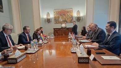 Venezuela y Egipto revisan agenda de cooperación bilateral