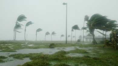 Concluye temporada ciclónica en el Caribe