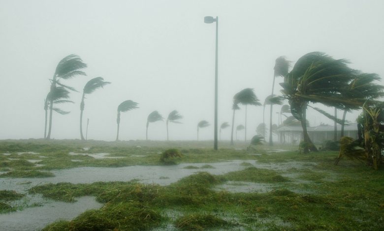 Concluye temporada ciclónica en el Caribe