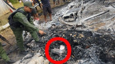 Fanb localiza aeronave del narcotráfico siniestrada e incendiada en Bolívar