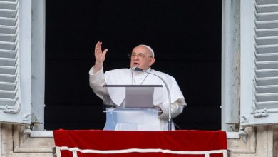 El Papa desde la ventana del Palacio Apostólico pide por la paz