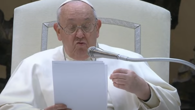Papa Francisco: Las guerras son un mal, recemos por su fin