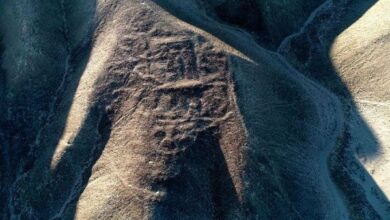 Hallan 29 nuevos geoglifos en Nazca