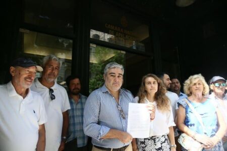 La justicia laboral, la traba en el zapato de Milei