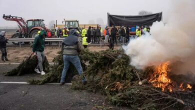 Protestas agricultores españoles