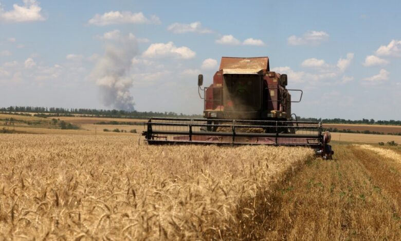 Rusia ha enviado 200.000 toneladas de grano gratis a 6 países africanos