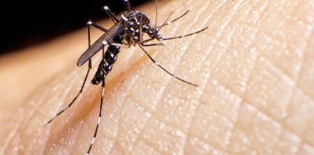El dengue se expande por Suramérica 