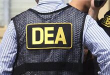México rechaza declaración infundada de jefa de la DEA