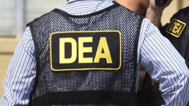 México rechaza declaración infundada de jefa de la DEA